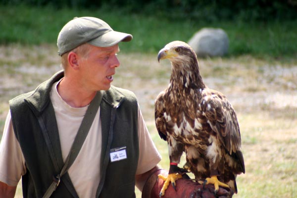 Killikus® Fotographie Killikus® Fotographie